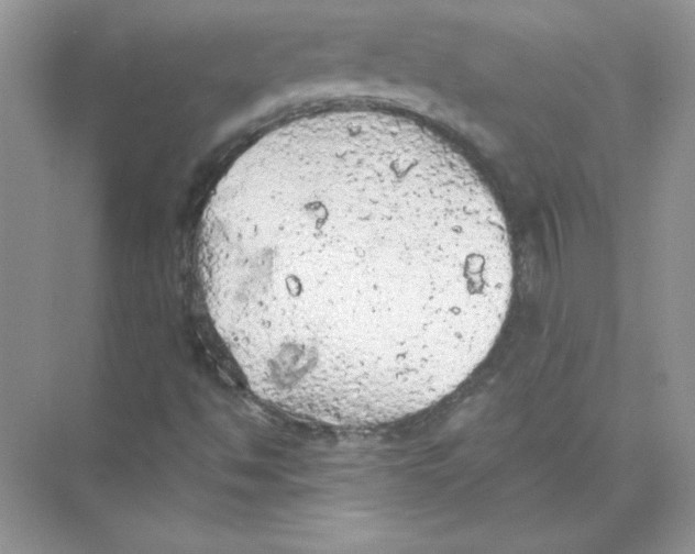 X0000074301494200609222321