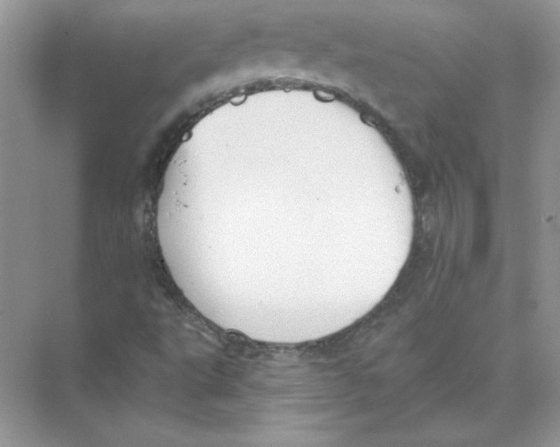 X0000074301495200609222321