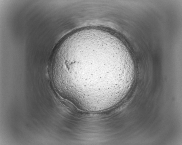 X0000074301497200609222321