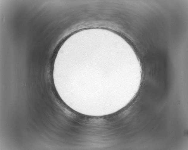 X0000074301498200609222321