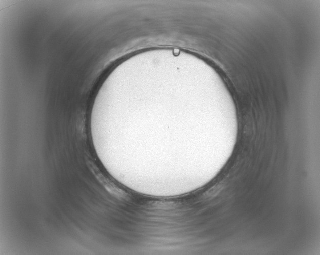 X0000074301499200609222321