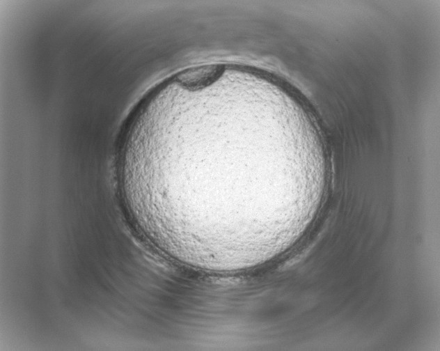 X0000074301501200609222321