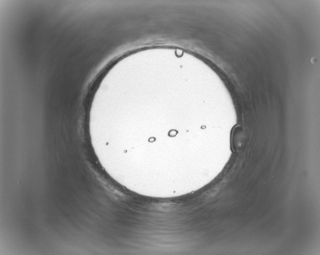 X0000074301502200609222321