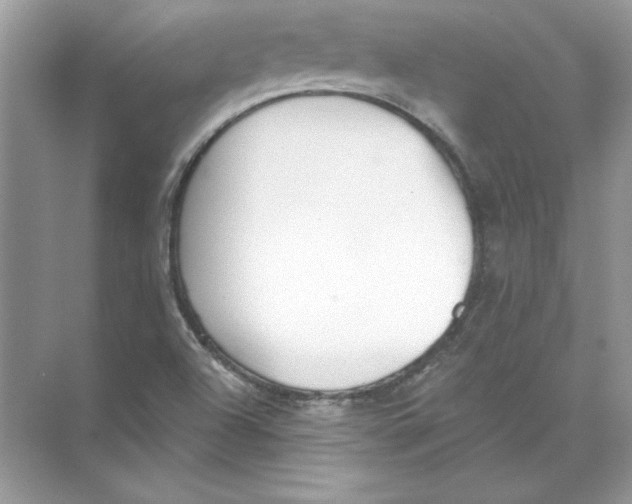 X0000074301504200609222321