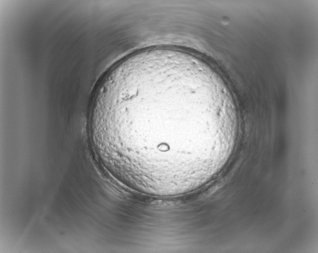 X0000074301505200609222321