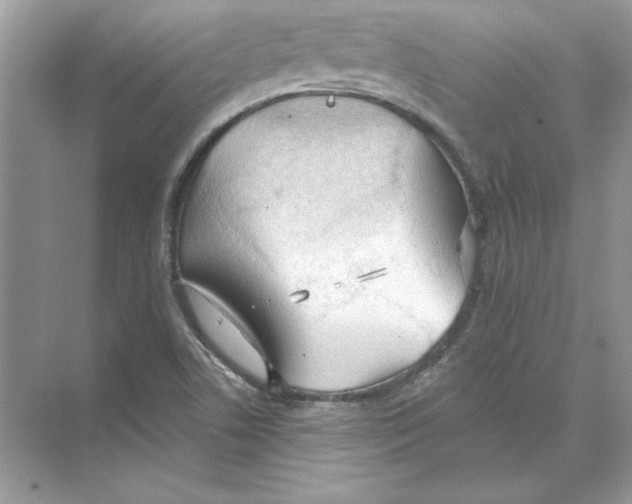 X0000074301506200609222321