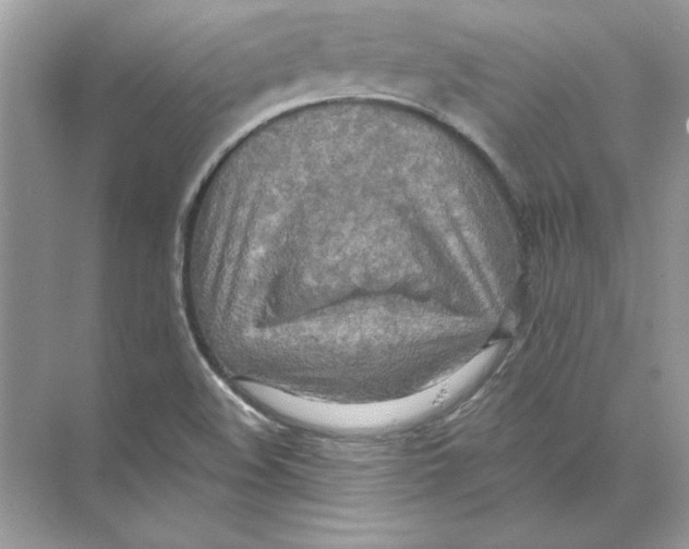 X0000074301508200609222321