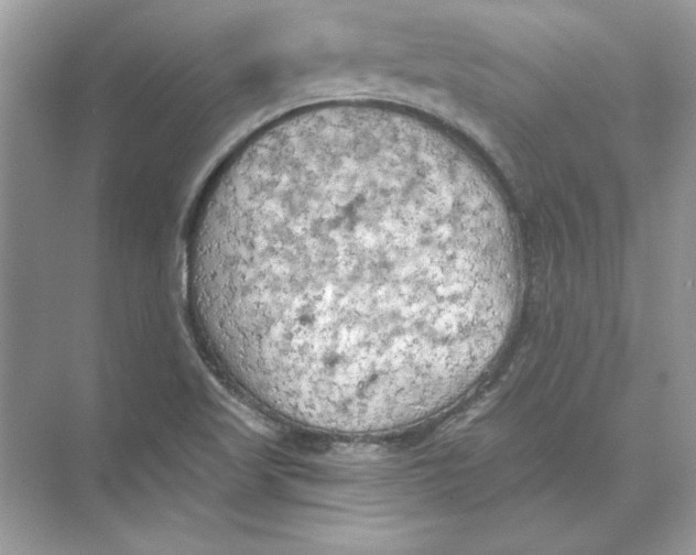 X0000074301509200609222321