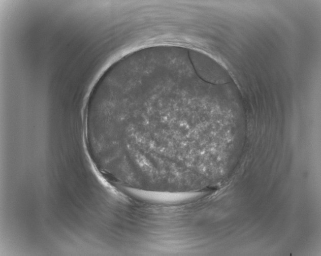 X0000074301515200609222321