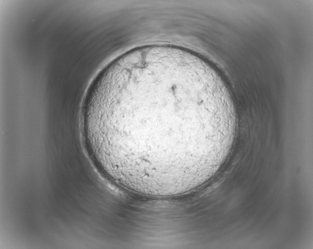 X0000074301517200609222321