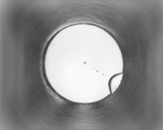 X0000074301518200609222321