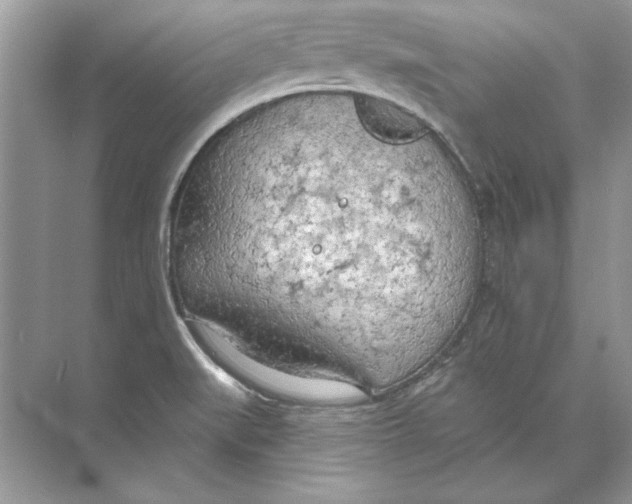 X0000074301519200609222321