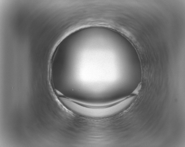 X0000074301520200609222321