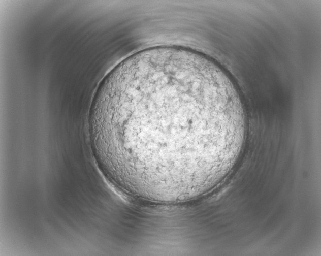 X0000074301521200609222322