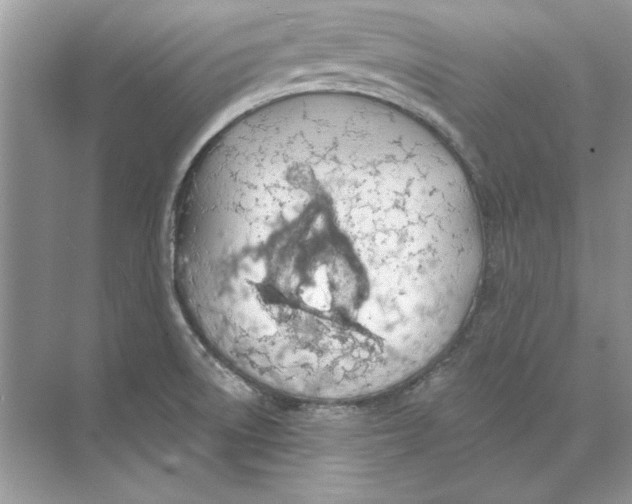 X0000074301522200609222322