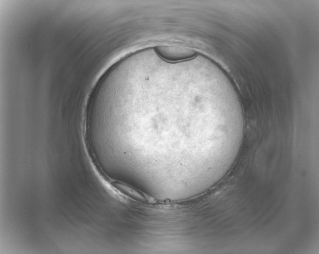 X0000074301523200609222322