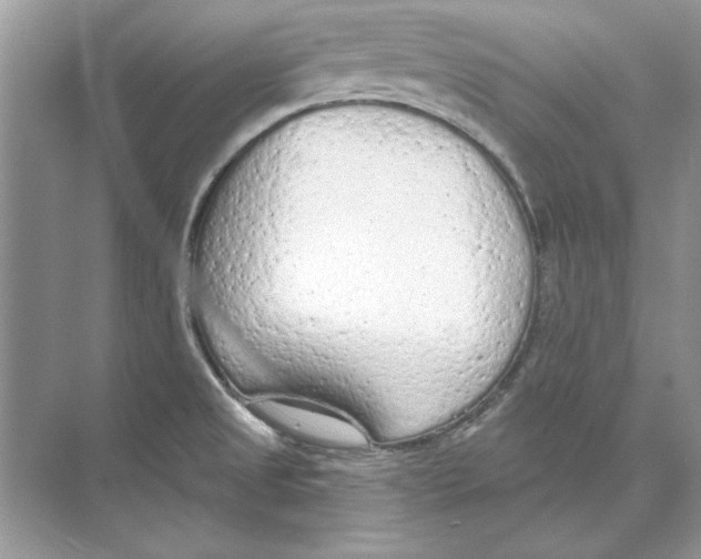 X0000074301525200609222322