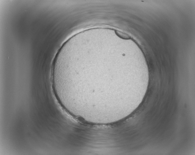 X0000074301526200609222322