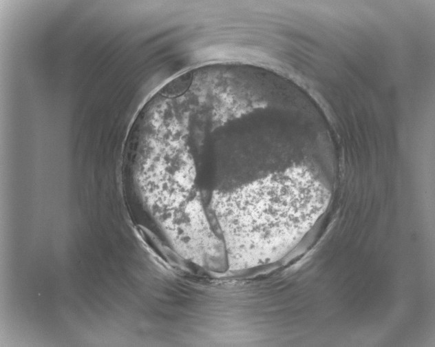 X0000074301529200609222322