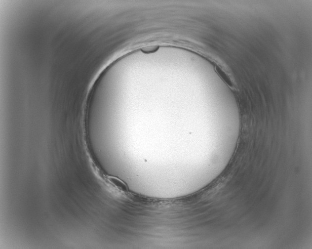 X0000074301530200609222322