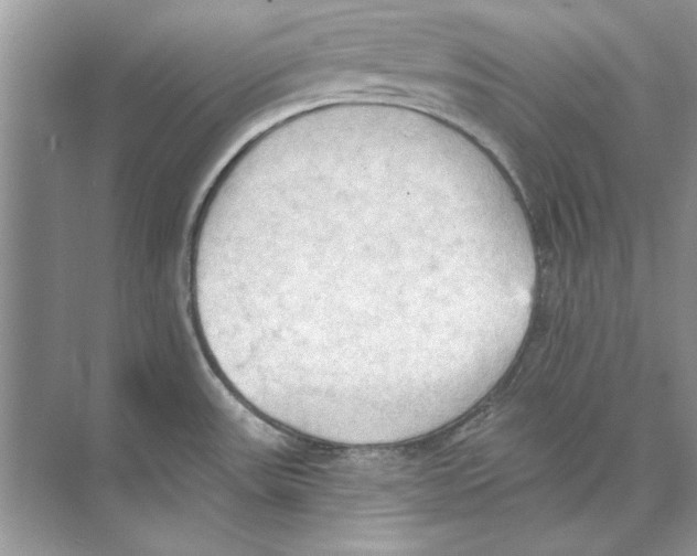 X0000074301531200609222322