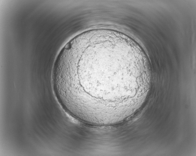 X0000074301533200609222322