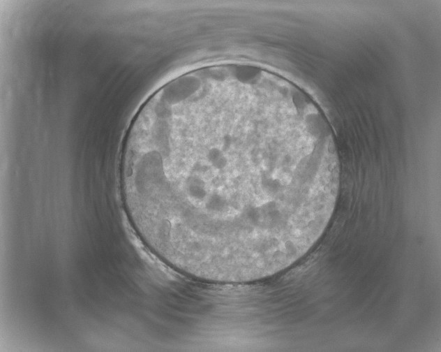 X0000074301534200609222322