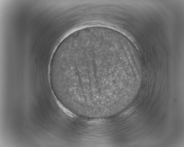 X0000074301535200609222322