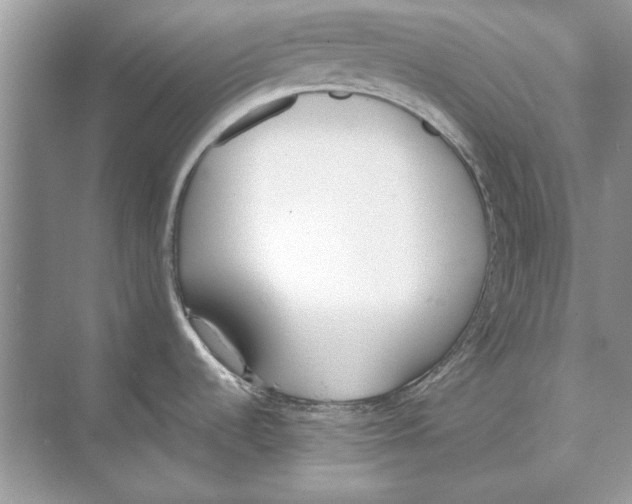 X0000074301536200609222322