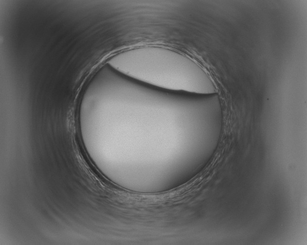 X0000074310002200608251017