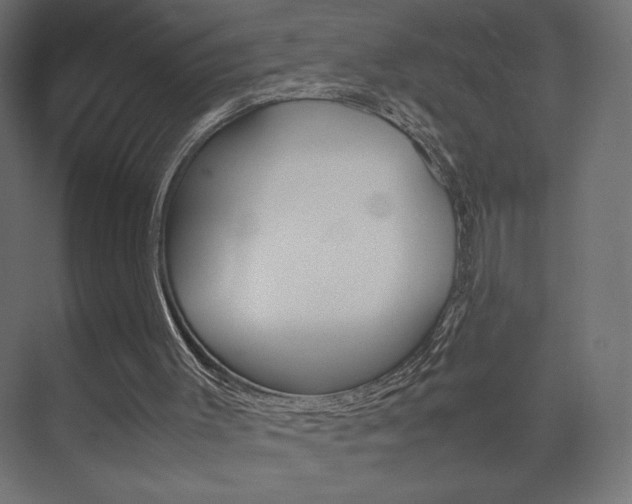 X0000074310003200608251017