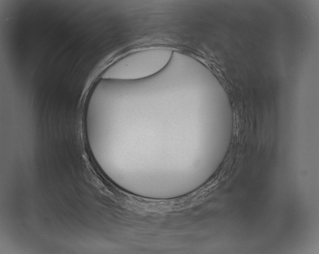 X0000074310004200608251017
