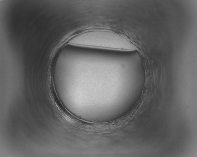 X0000074310005200608251016