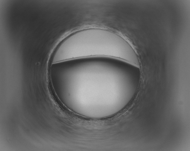 X0000074310008200608251016