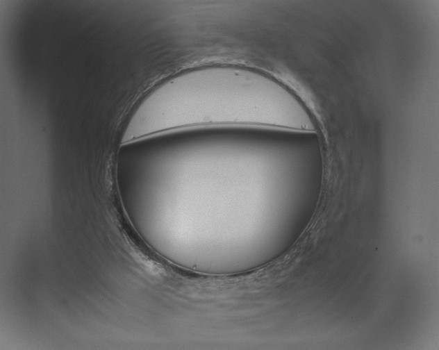 X0000074310009200608251016
