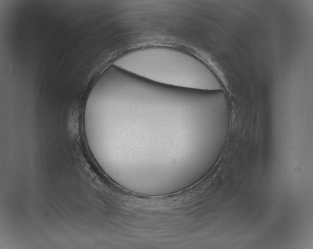 X0000074310010200608251016
