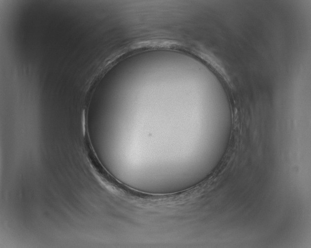 X0000074310013200608251016
