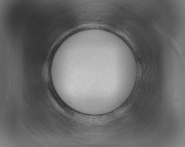 X0000074310016200608251016
