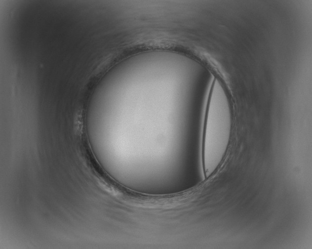 X0000074310017200608251016