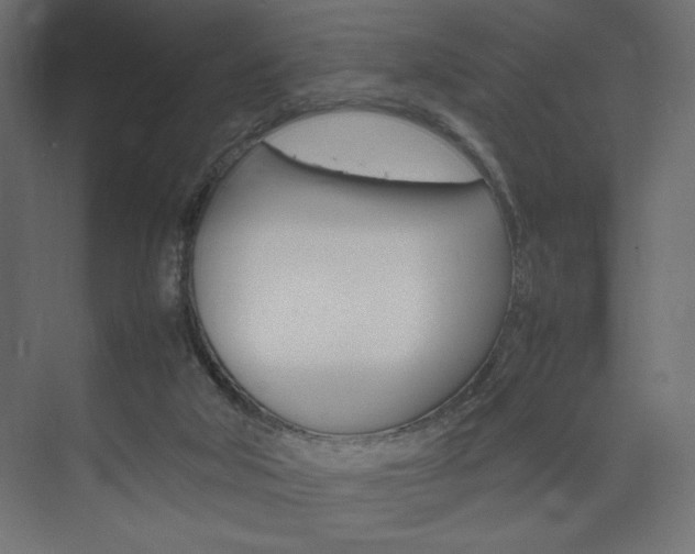 X0000074310018200608251016
