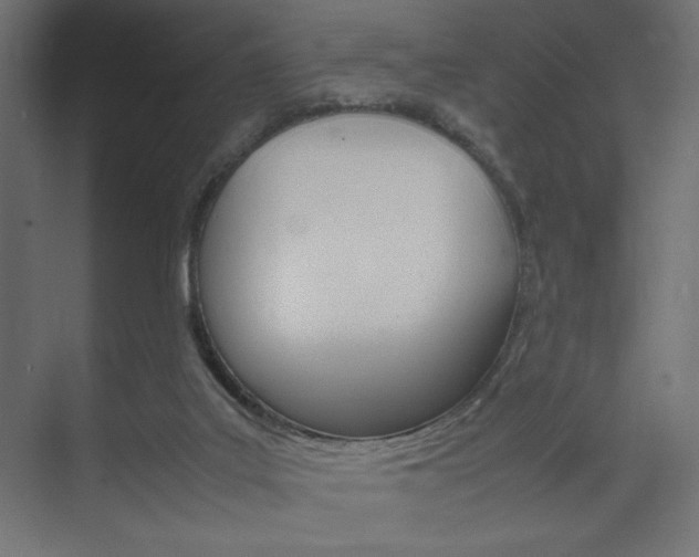 X0000074310019200608251016