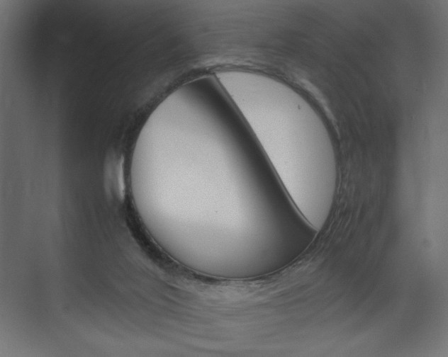 X0000074310020200608251016