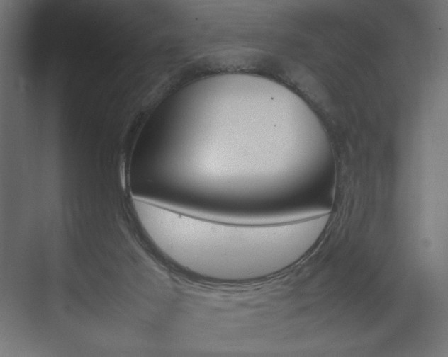 X0000074310021200608251016
