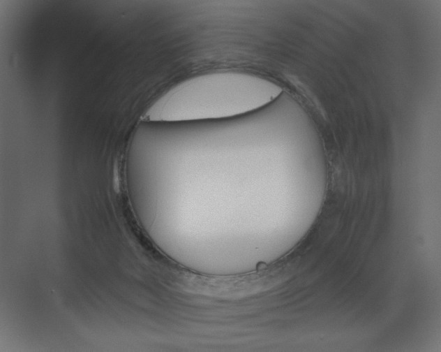 X0000074310026200608251016