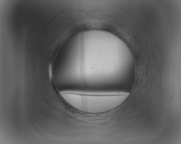 X0000074310027200608251016