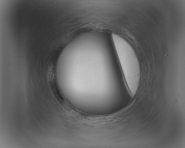 X0000074310029200608251016