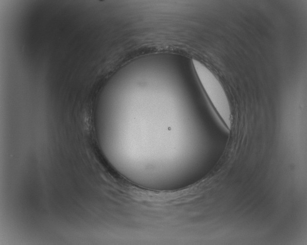 X0000074310039200608251016
