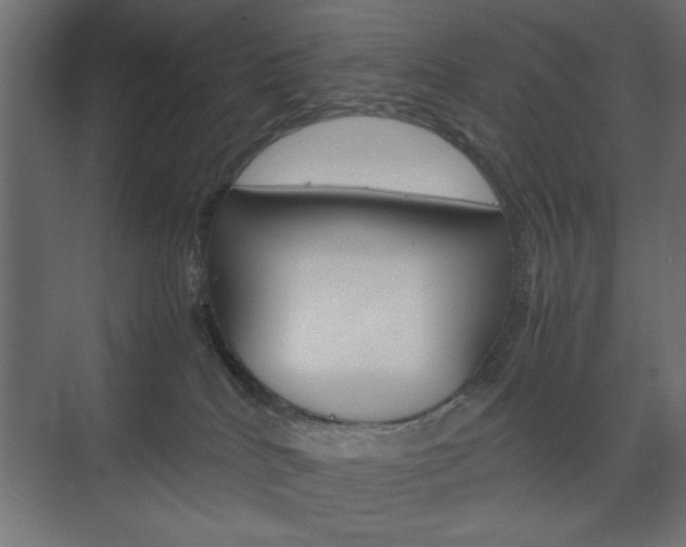 X0000074310040200608251016