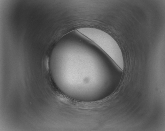 X0000074310041200608251016