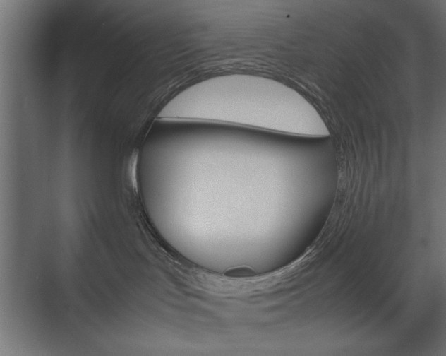 X0000074310047200608251016
